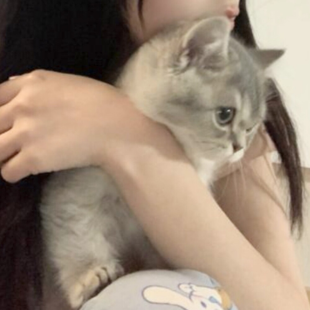 对象不是人系列