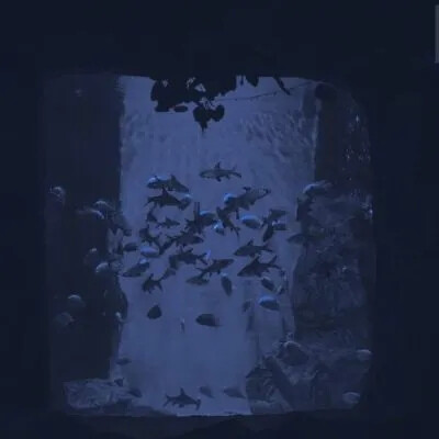 背景（侵权删）