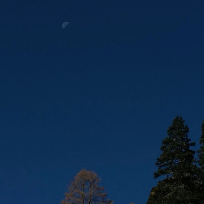 背景（侵权删）