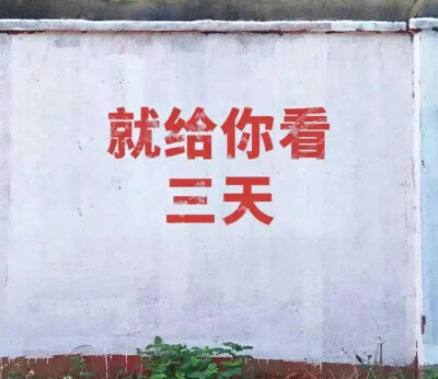 杂图