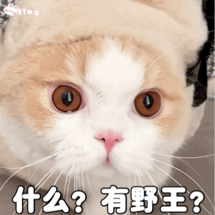 可爱猫咪表情包