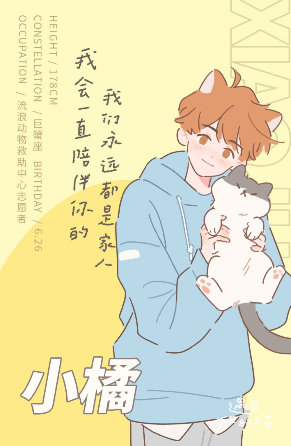 包含遇见喵摄影教程笔记图片的词条