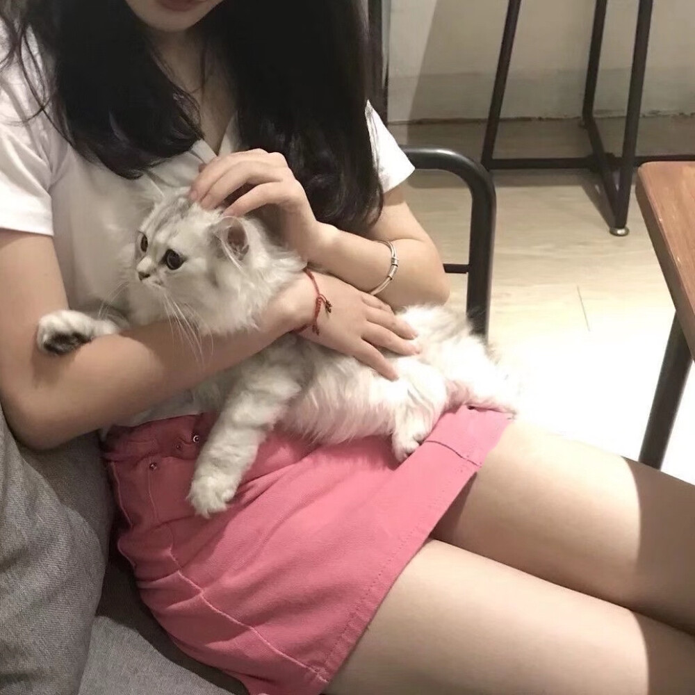 抱猫女头