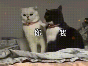 ♡