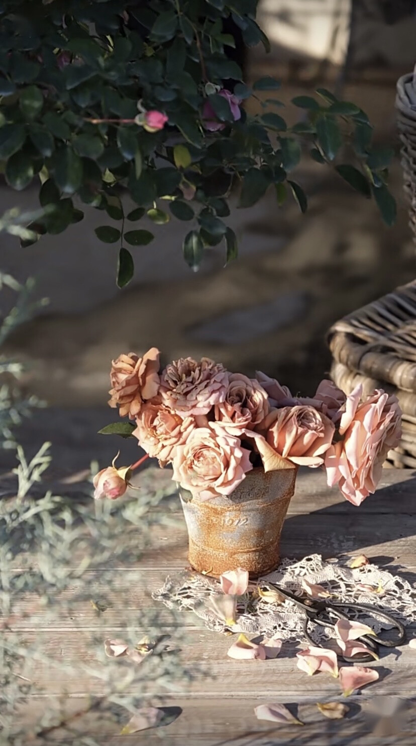 自截壁纸套题
源小红薯：洛基花园Rocky‘s Garden