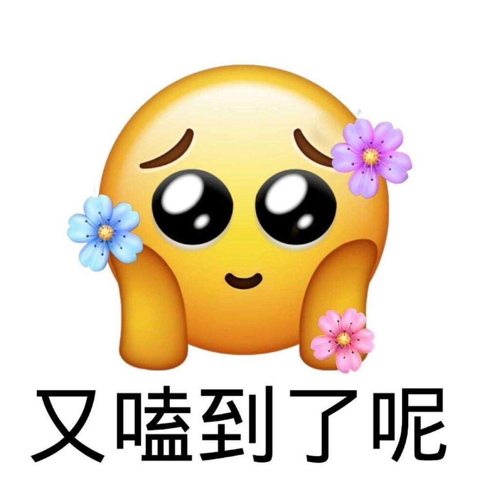 磕糖表情包