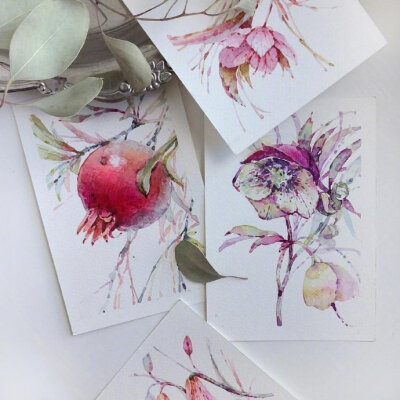 植物绘，插画师 Katya Minkina ​