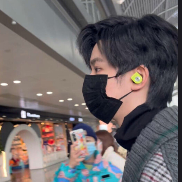 猫球理