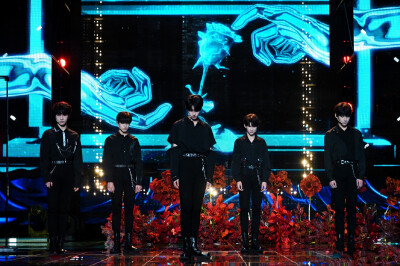 TF家族三代