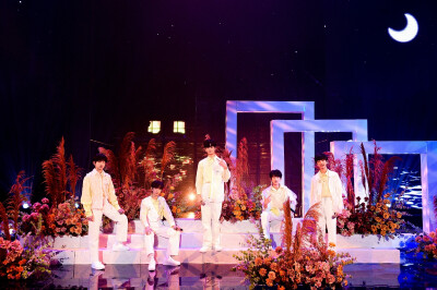 TF家族三代