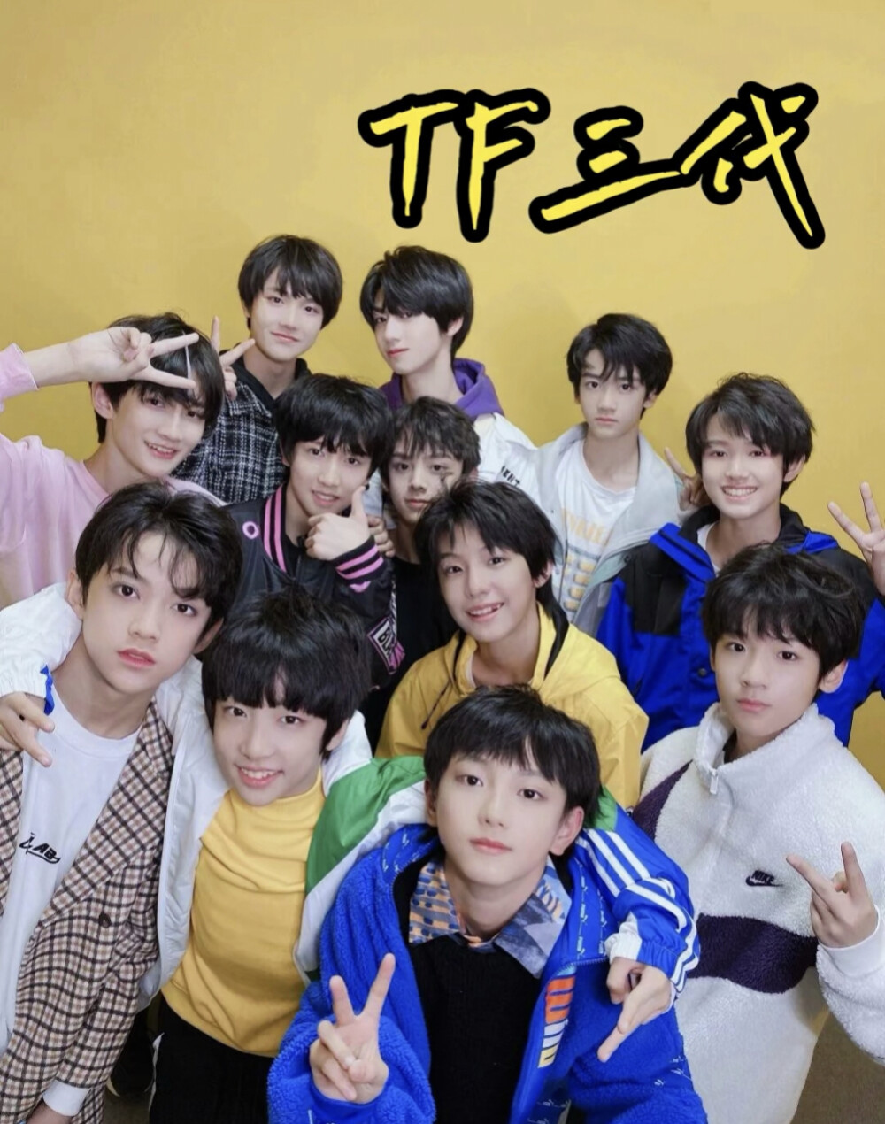 TF家族