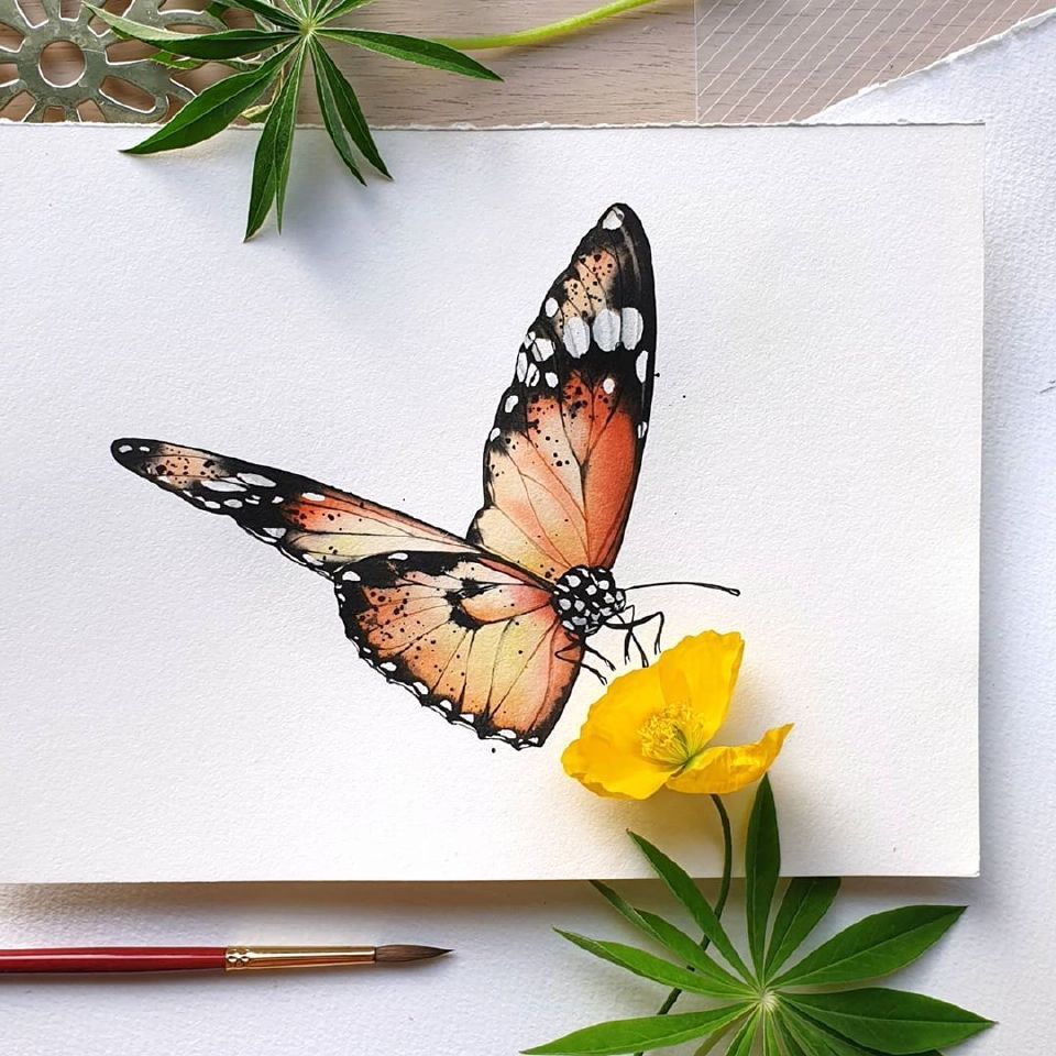 花与蝶，来自：akvarell_design ​​​