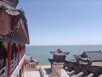 花园里，有裙翩舞起