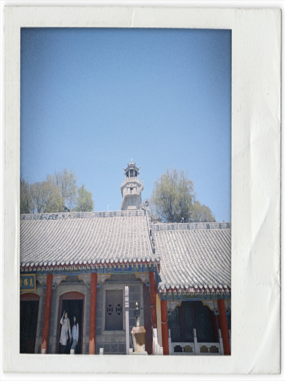 花园里，有裙翩舞起