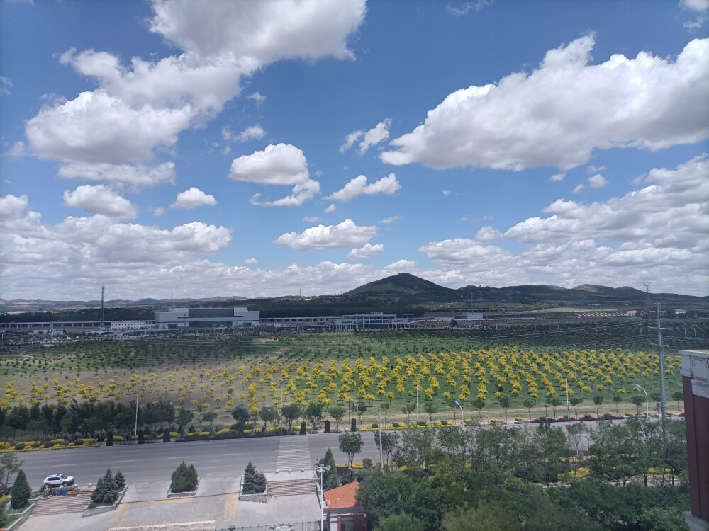 五月天