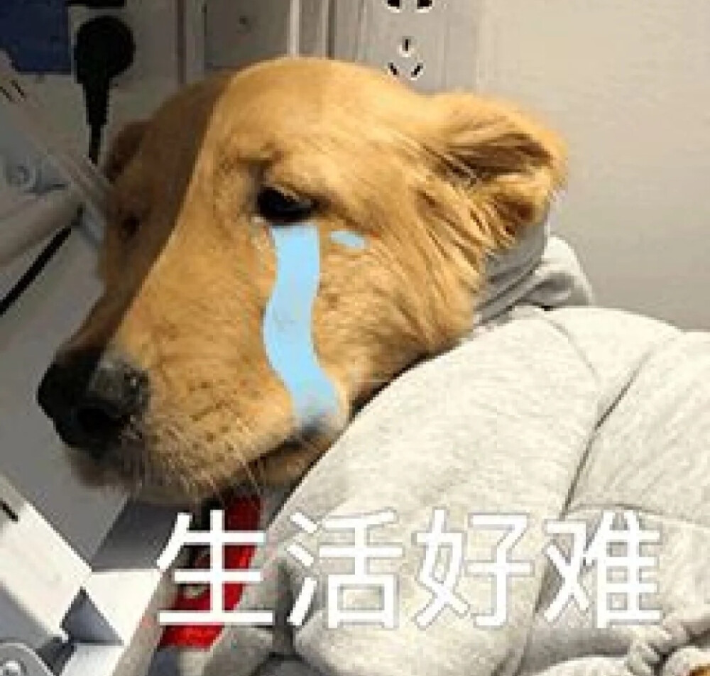 表情包