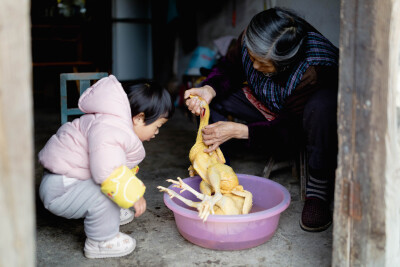 新交的朋友
摄影：洪小漩
出镜：家人
16个月大的菲比，正处于语言学习期，喜欢重复大家的话。听到家人说些什么，她便开始像复读机一般学舌。
回家，菲比喜欢坐在门前看院子里闲庭信步的鸡。我指着她专注观赏的公…