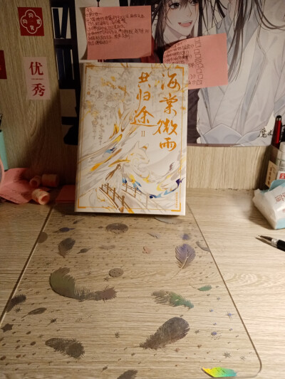 海棠微雨共归途