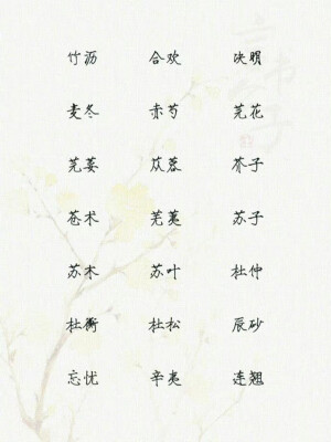 中药名