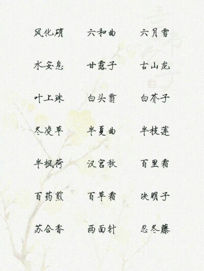 中药名