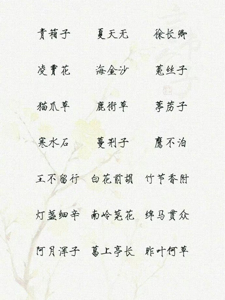 中药名