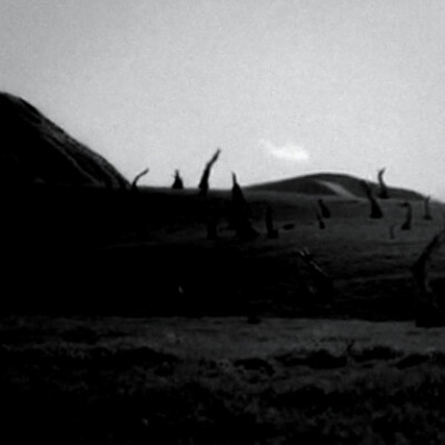 
Cheistmas Tree ‘for us’