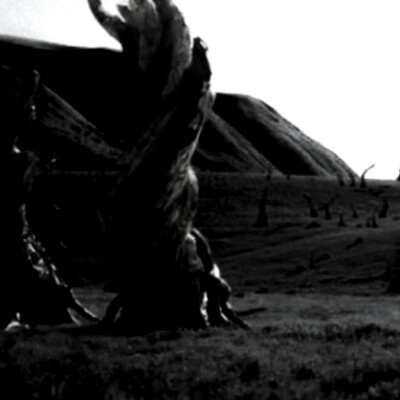 
Cheistmas Tree ‘for us’