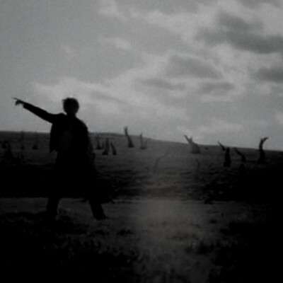 
Cheistmas Tree ‘for us’