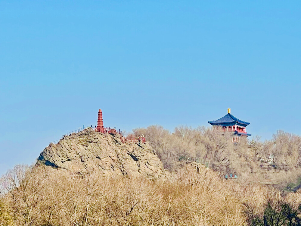 场景