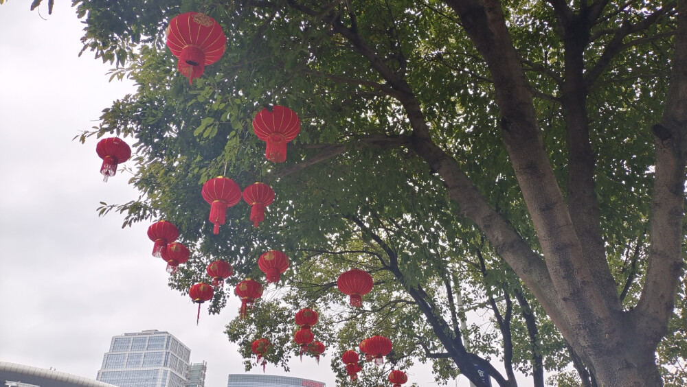 年味吉安：大红灯笼高高挂