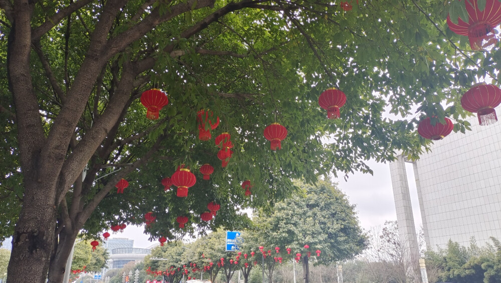 年味吉安：大红灯笼高高挂