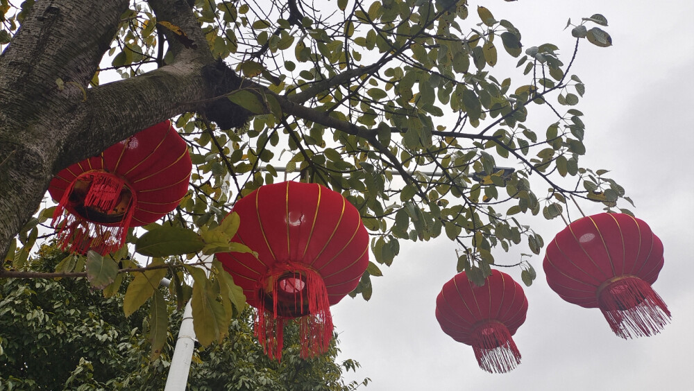 年味吉安：大红灯笼高高挂