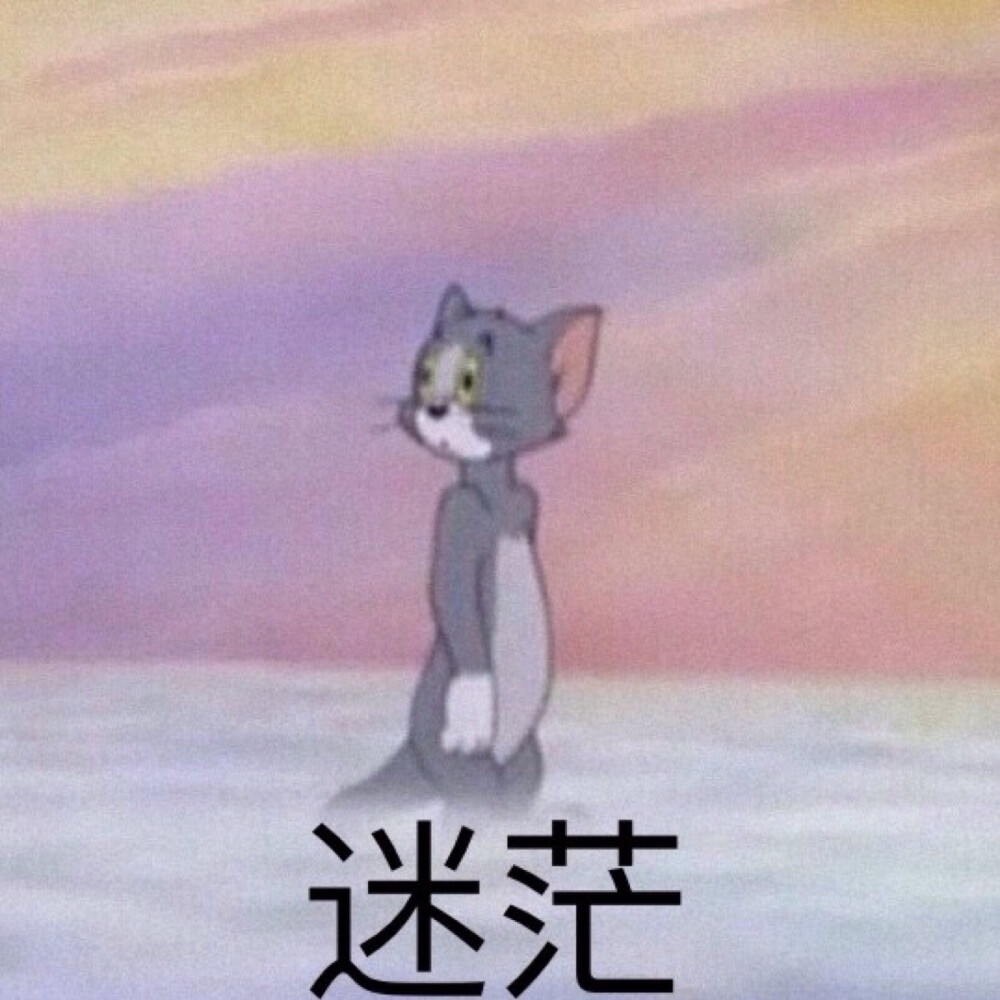 猫和老鼠表情包