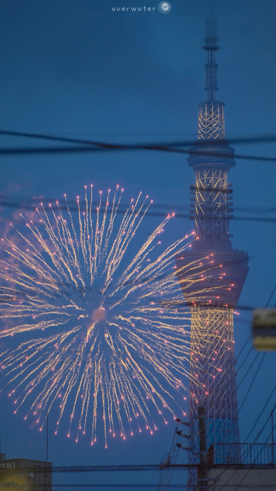 烟花和景