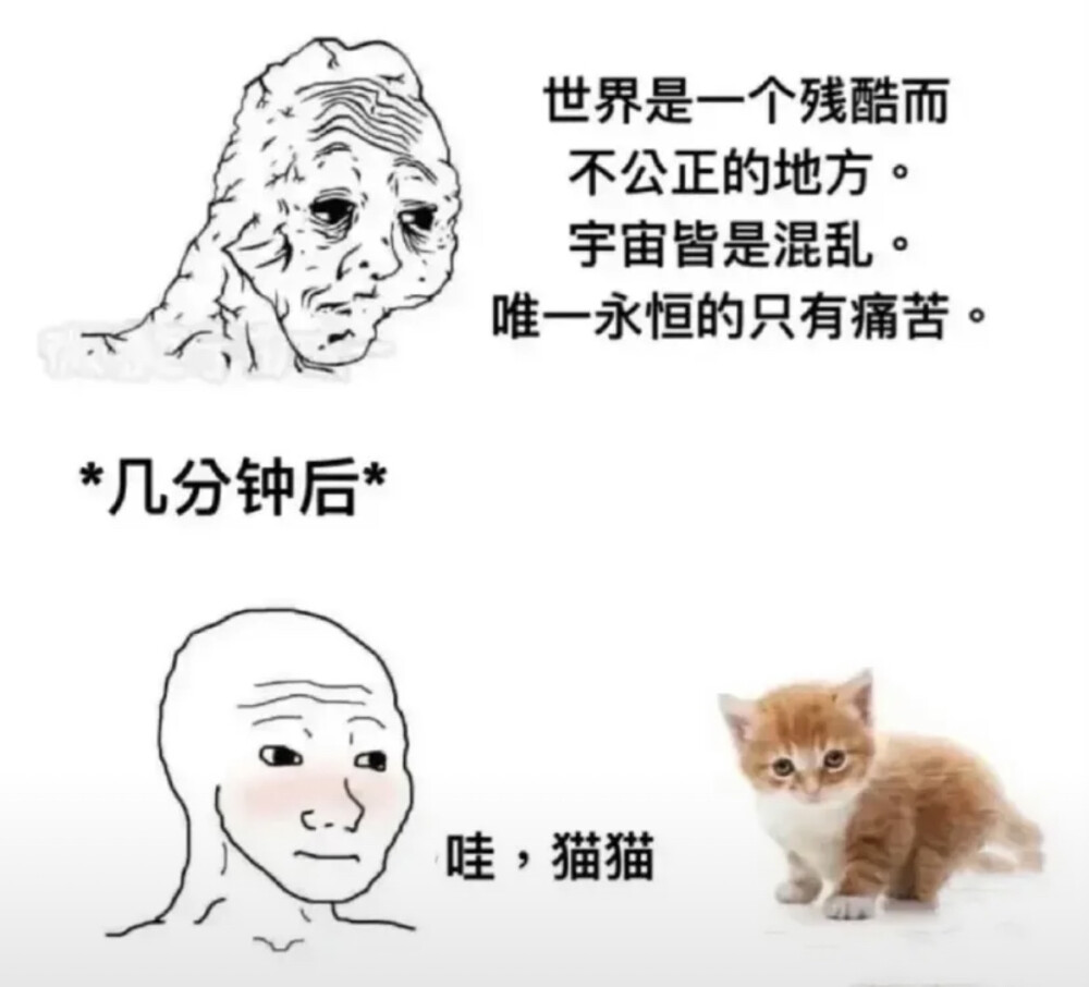 infp只是个平平无奇的流泪猫猫头罢了。
ㅜㅡㅜ谁能get我