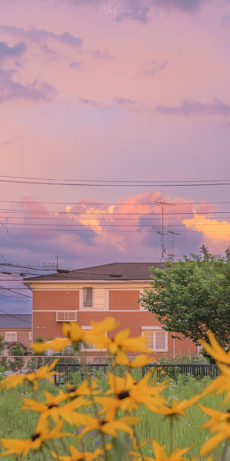 sky.唯美天空&云壁纸