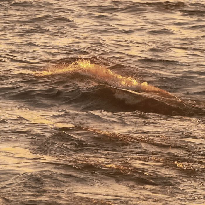 我没有办法次次及时赶到，你要学会保护自己
cr_Sugameow_309