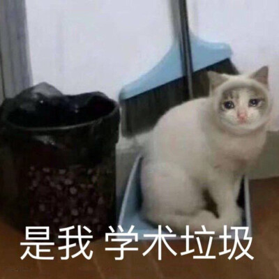 学习表情包