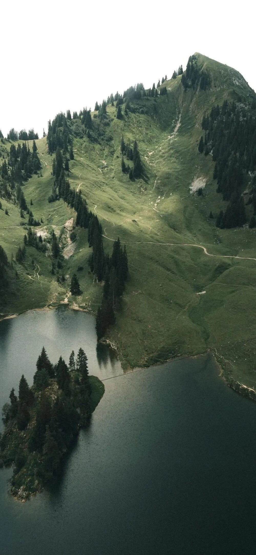 壁纸 风景 海边 黄昏 岛 草地 森林 绿色