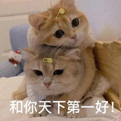  ⸜(๑'ᵕ'๑)⸝⋆*