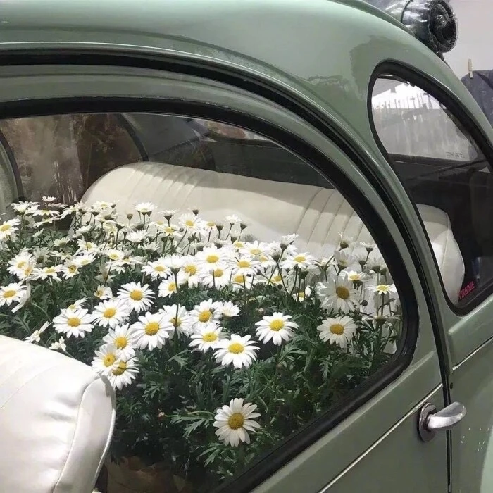 拿图赞收藏专辑。