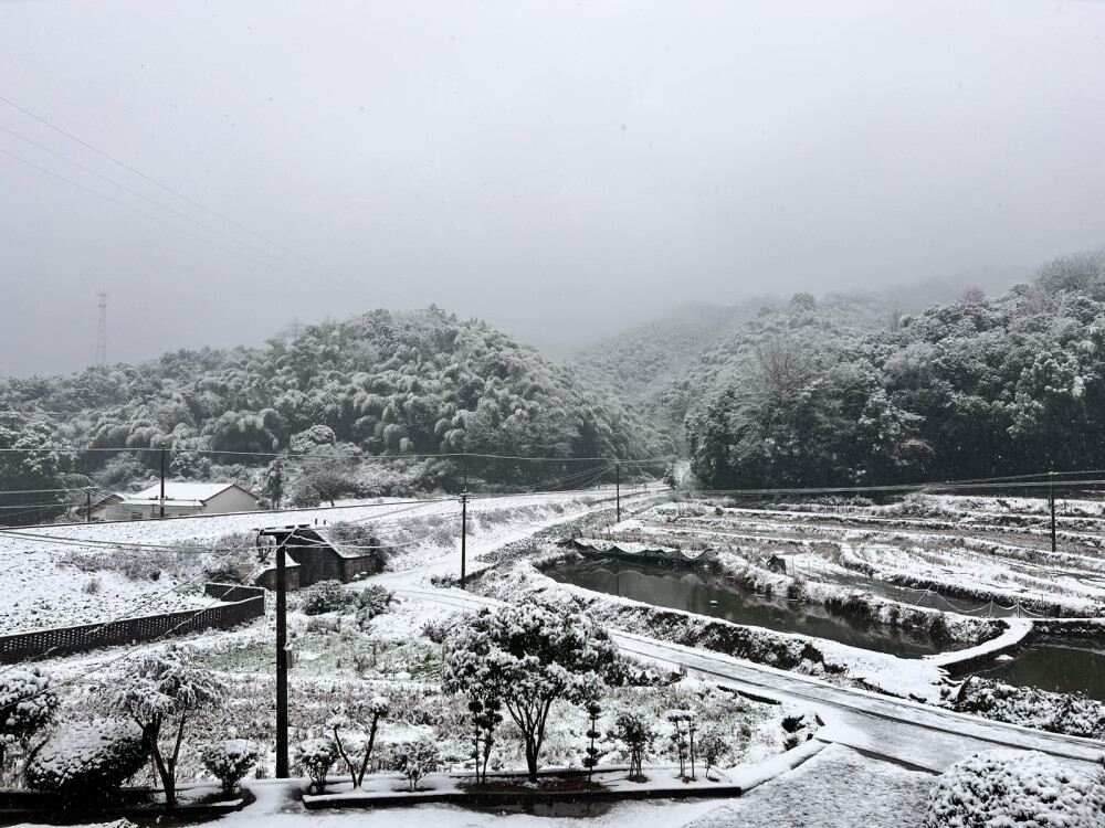 又是一個下雪天