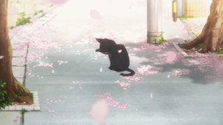 GIF，表情包，动漫