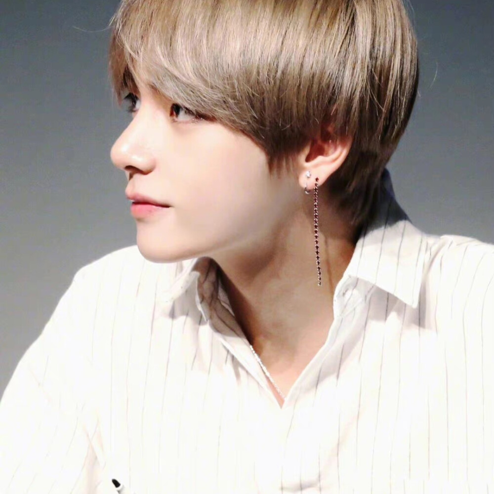 木记轮回恋此生