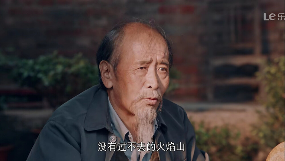【电视剧·截图】《花开山乡》