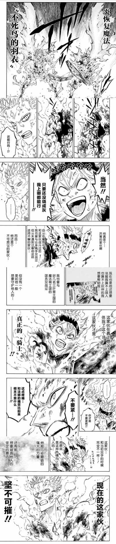 黑色五叶草漫画