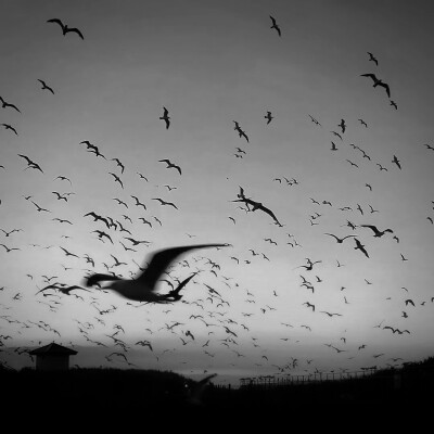 How to reach your heart.