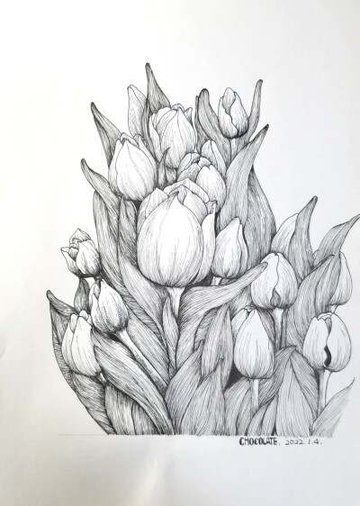 黑白手绘花花