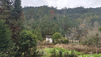 美丽吉安之乡村风光：走进井冈山市光明乡光明村