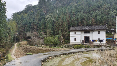 美丽吉安之乡村风光：走进井冈山市光明乡光明村